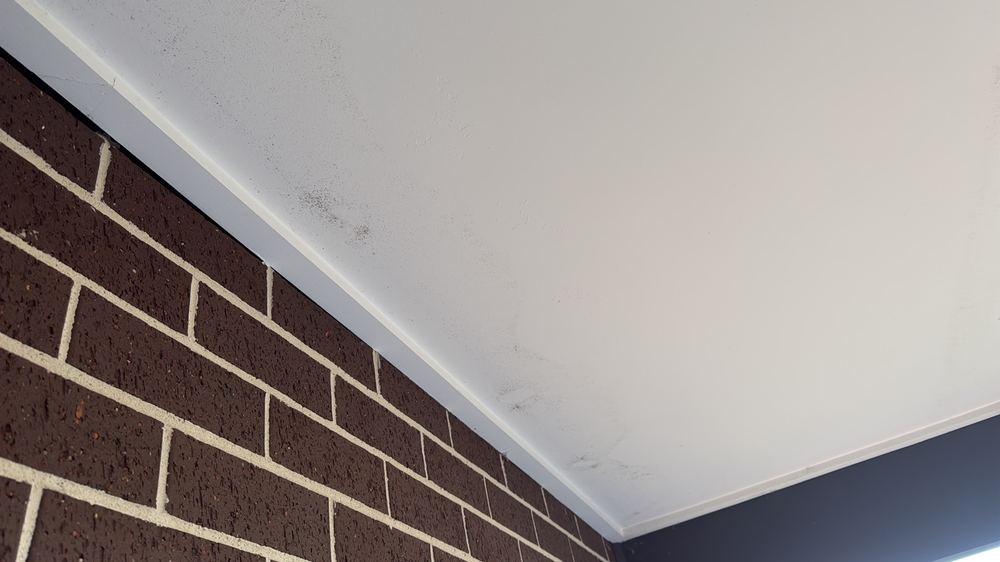 Mould growing on internal surfaces, a sign of an ongoing moisture source, found during a pre-purchase inspection in Wallan